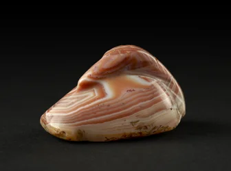 Poids de canard (agate)